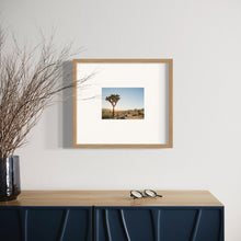 Load image into Gallery viewer, "Joshua Tree 03"