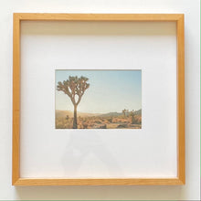 Load image into Gallery viewer, "Joshua Tree 03" Framed