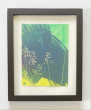 Load image into Gallery viewer, "Hidden Hummingbird"