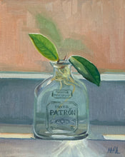 Load image into Gallery viewer, "Patron Silver/Hoya Carnosa"