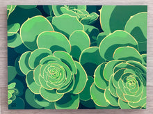 Load image into Gallery viewer, &quot;Bluff Park Succulents&quot;

