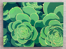 Load image into Gallery viewer, "Bluff Park Succulents"