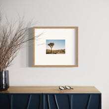 Load image into Gallery viewer, &quot;Joshua Tree 03&quot; Framed
