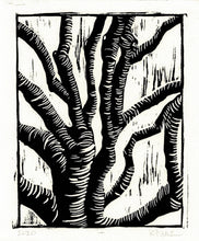 Load image into Gallery viewer, &quot;Tree #1&quot;
